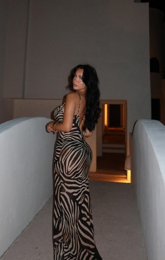 Danna dress zebra